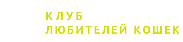 LOGO TEXT1243